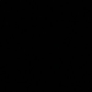 Meet your Posher, Dane